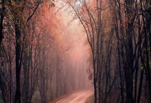 华体会体育：[图]英超-帕尔默双响 进球大战切尔西4-3热刺.