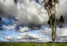 华体会体育：[冰雪]一日双赛 中国男子冰壶队险胜德国队.